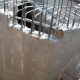 Lady Bird Lake - Junction Box