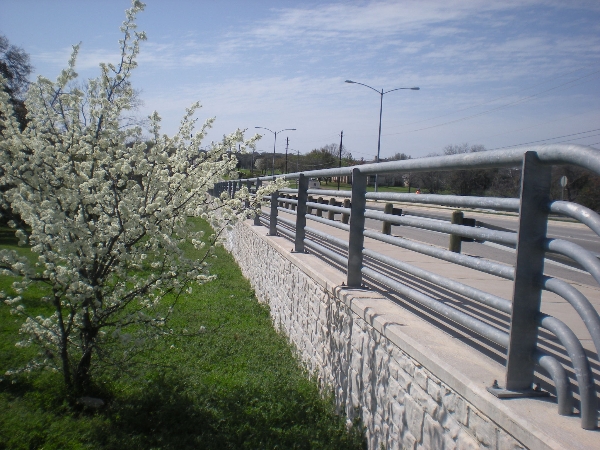 Dittmar Road Bridge